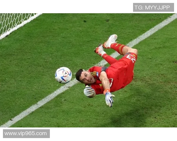 阿根廷与荷兰点球大战回顾：激情与荣耀的巅峰对决